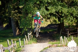 Bikepark Samerberg