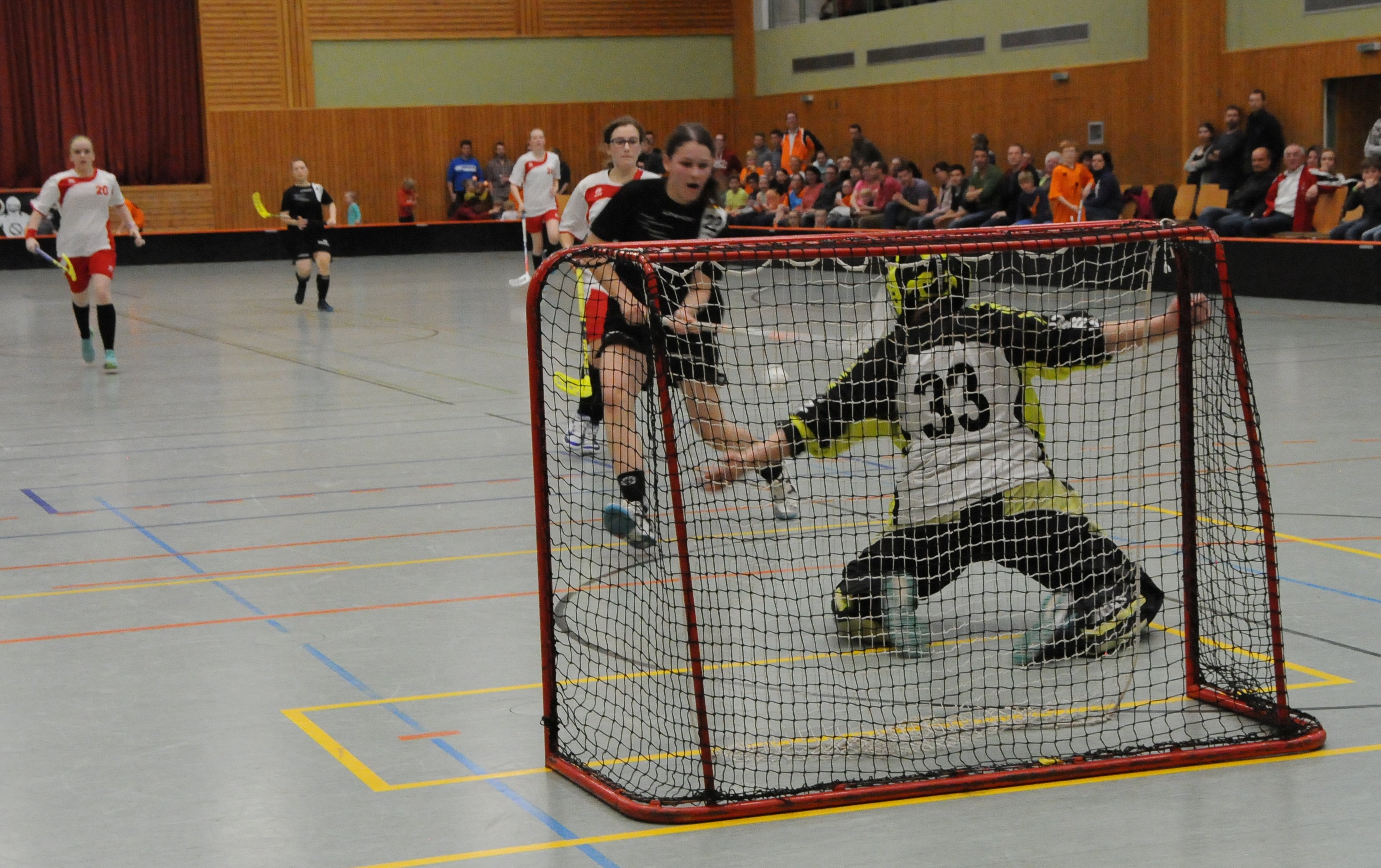 Floorball Laenderspiel
