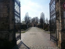 Friedhof 1
