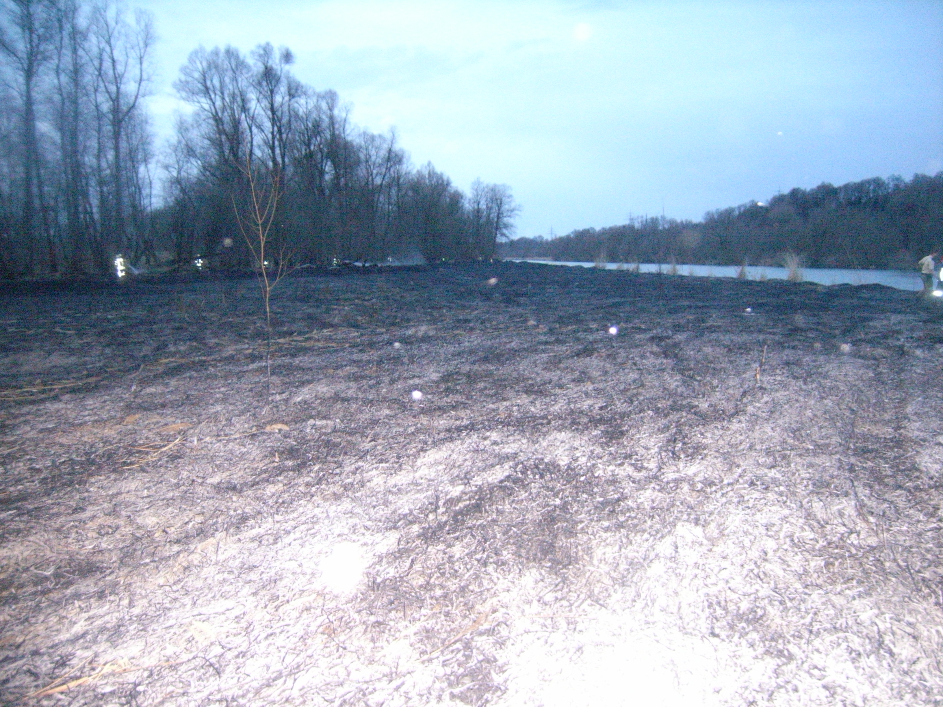 0401Flächenbrand