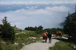 0806 Panoramaweg Hochries